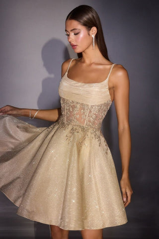 Annika - KV1152Formal DressKV1152_CHAMPAGNE_0LadivineFormalist