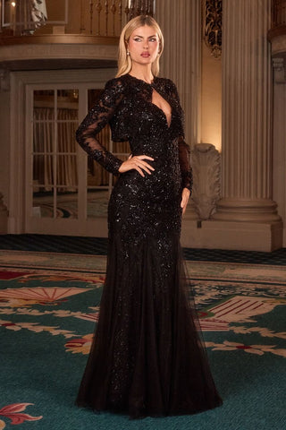 Brynnlee - CDS545Formal DressCDS545_BLACK_8LadivineFormalist