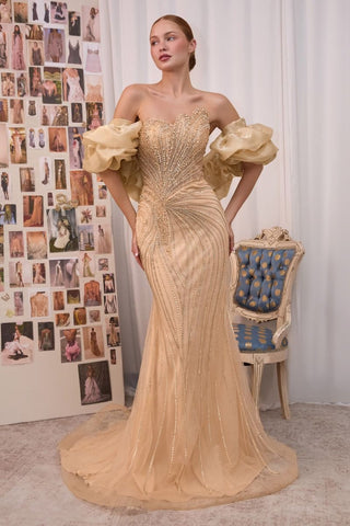 Clarabelle - A1519Formal DressA1519_GOLD_4Andrea & LeoFormalist