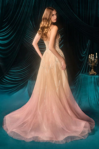 Delaney - A1508Formal DressA1508_CHAMPAGNEBLUSH_0Andrea & LeoFormalist