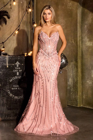 Irisa - CDS557Formal DressCDS557_DUSTYPINK_0LadivineFormalist