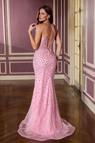 Zella - CC3902Formal DressCC3902_PINK_0LadivineFormalist